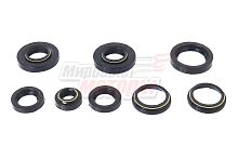 Набор сальников Пл Россия (завод)